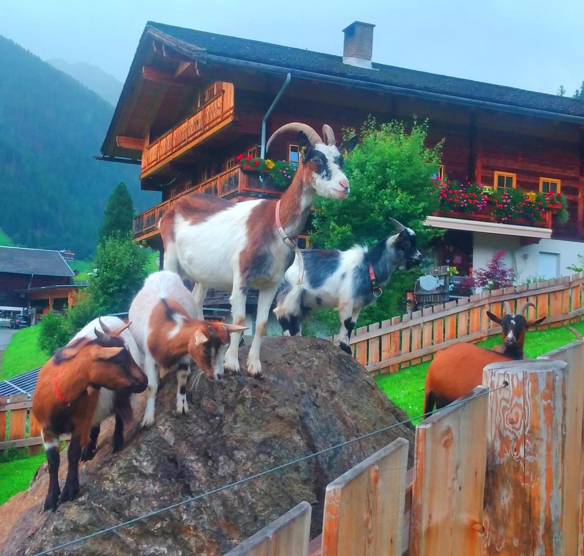 Ferienhaus Egger Innervillgraten Buitenkant foto