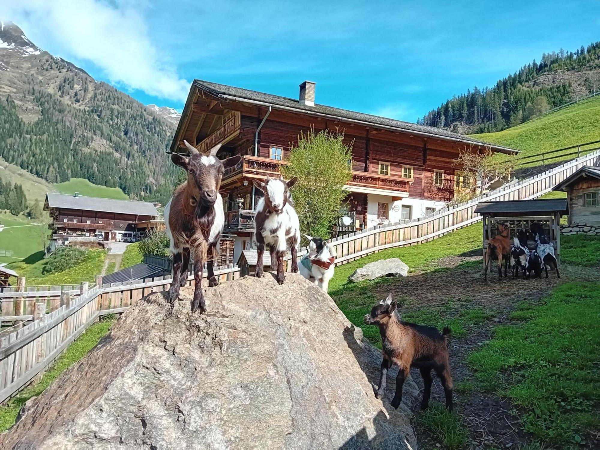 Ferienhaus Egger Innervillgraten Buitenkant foto